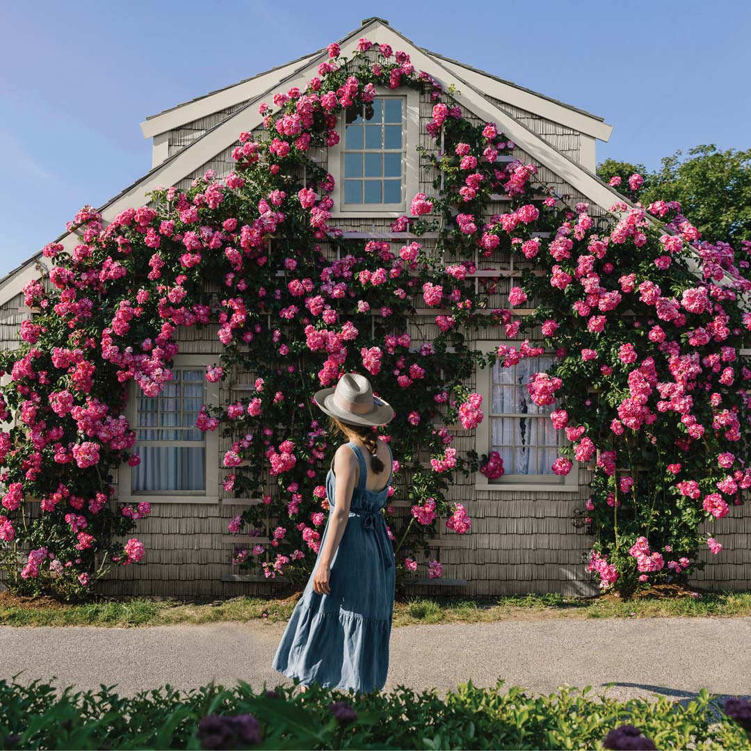 American Dream Exteriors Images