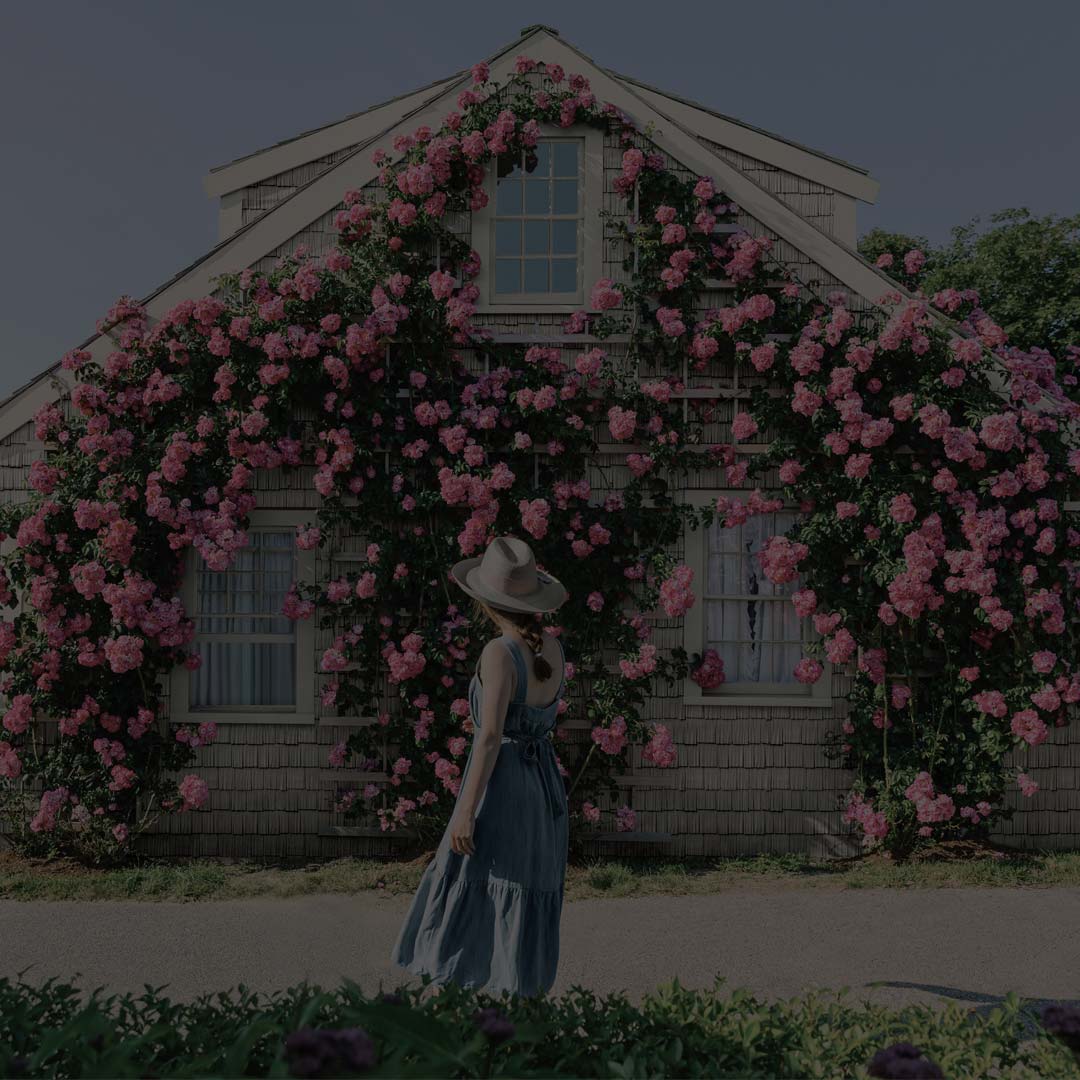 American Dream Exteriors Images